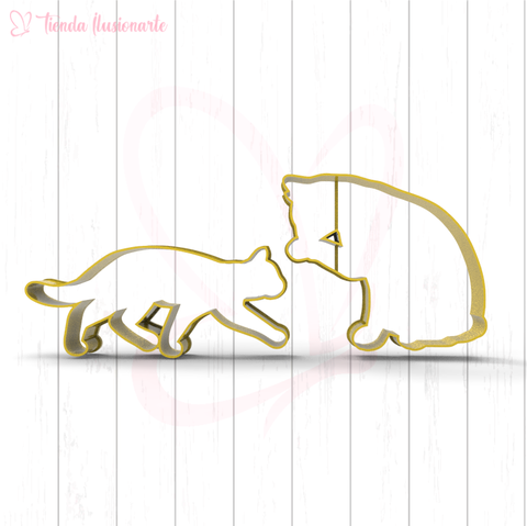 Set 2 Gatos