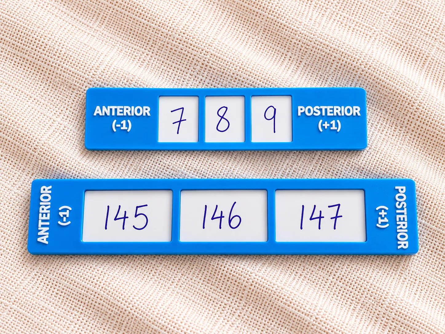 Regla anterior y posterior