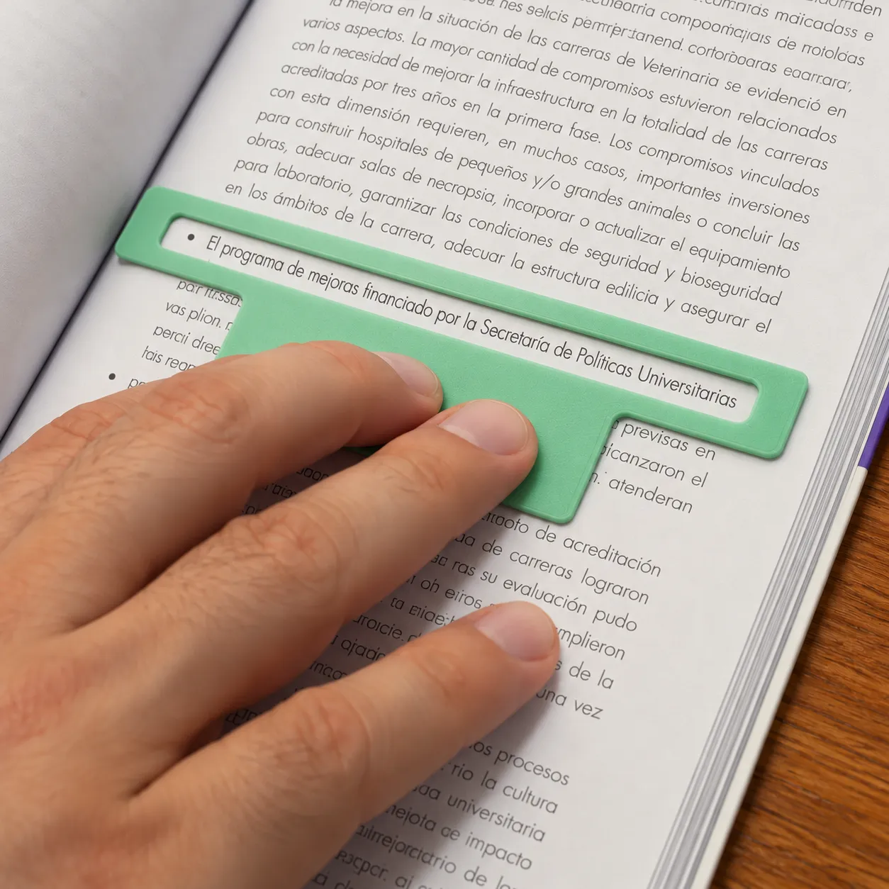 Regla de Ayuda para la Lectura